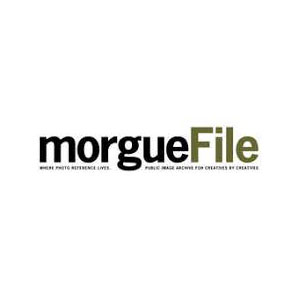 MorgueFile 2
